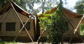 Mara Toto Camp