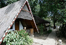 Mara Buffalo Camp