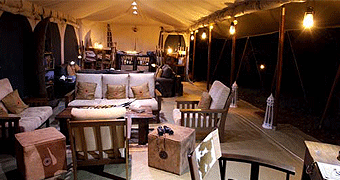 Mara Bush Camp 