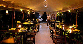 Mara Bush Camp 