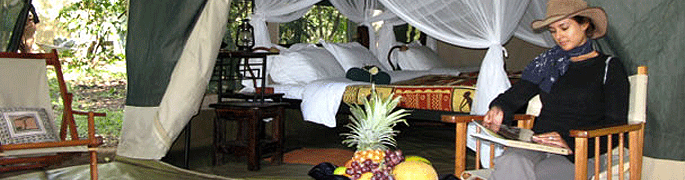 Mara Bush Camp