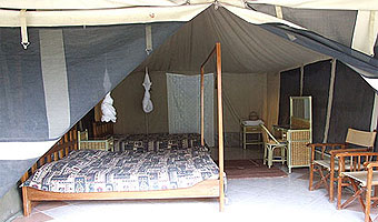 Mara Hippo Safari Lodge 