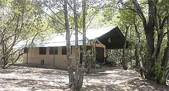 Mara Intrepids Camp 