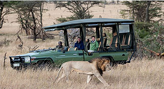 Mara Plains Camp