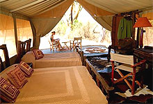 Mara Porini Camp Serengeti-Mara eco-system, Kenya