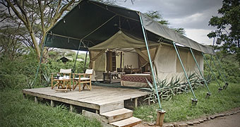 Mara Porini Camp Masai Mara