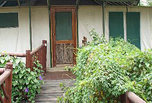 Mara Simba Lodge Tents 