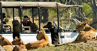 Mara Toto Camp 