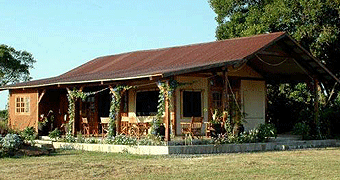 Mara West Camp 