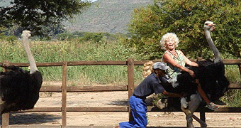 Masai Ostrich Resort 