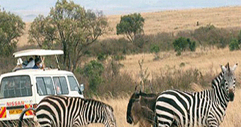 Masai Mara Budget Safari