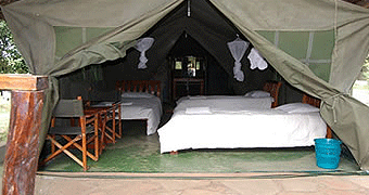 Masai Mara Budget Safari