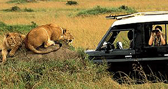 Masai Mara Game Reserve