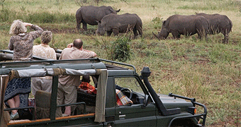Meru National Park 