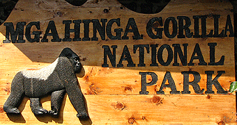 Mgahinga Gorilla National Park 