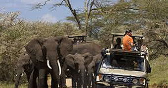 Mikumi National Park