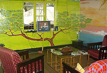 Milimani Backpacker Nairobi Accommodation TV Room
