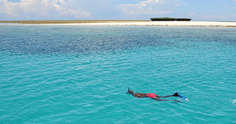 Snorkeling at Kisite Marine Park
