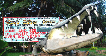 Mamba Village