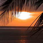 mombasa tours