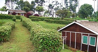 Muchiri's Resort Ndakaini 