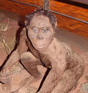 nairobi national museum