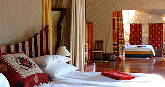 Black Leopard Mara Retreat Camp