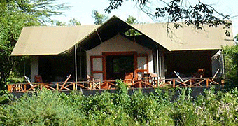 Black Leopard Mara Retreat 