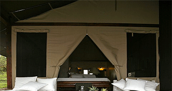 Black Leopard Mara Retreat 