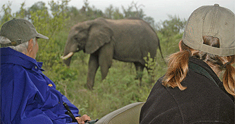 Mwaluganje Elephant Sanctuary