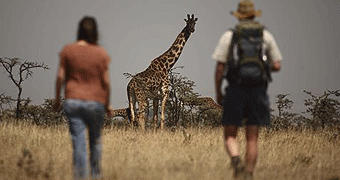 Naboisho Camp Masai Mara