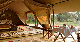 Naibor Wilderness Camp Mara 