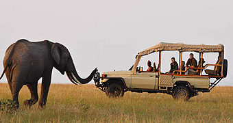 Naibor Camp Masai Mara