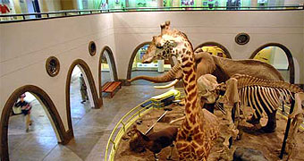 Nairobi National Museum