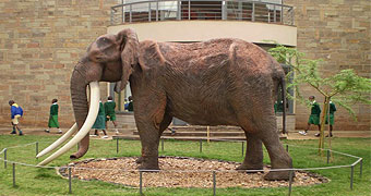 Nairobi National Museum