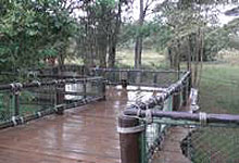 Nairobi Safari Walk