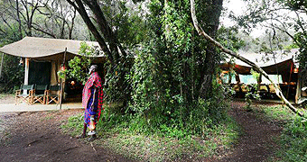 Nairobi Tented Camp 