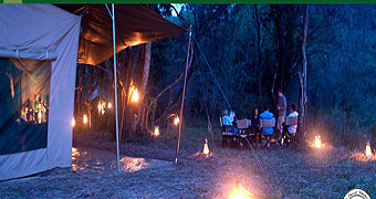Nairobi Tented Camp 