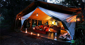 Nairobi Tented Camp 