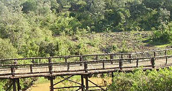 Nairobi Safari Walk Day Tour
