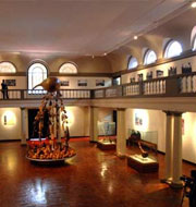 nairobi national museum