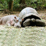 mombasa nature park