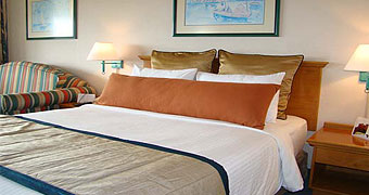 New Africa Hotel and Casino