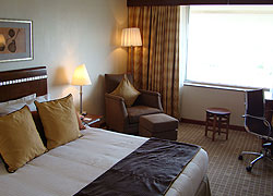 New Africa Hotel and Casino