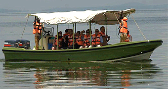 Ngamba Island Chimpanzee Sanctuary