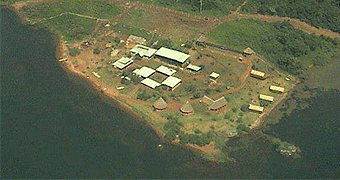 Ngamba Island Chimpanzee Sanctuary