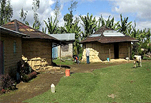 Ng’iresi Village in Arusha Tanzania
