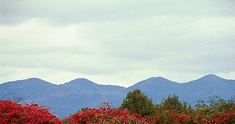 Ngong Hills Hiking/ Walking day Tour