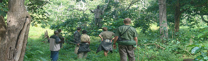 Ngong Forest Sanctuary Walk