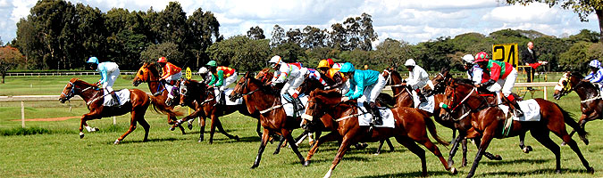 Ngong Horse Racecourse
